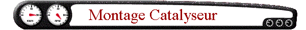 Montage Catalyseur
