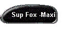 Sup Fox -Maxi