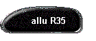 allu R35