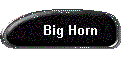 Big Horn