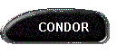 CONDOR