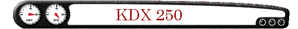 KDX 250