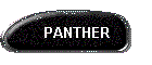 PANTHER