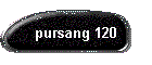 pursang 120