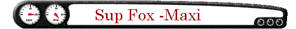 Sup Fox -Maxi