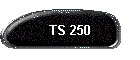 TS 250